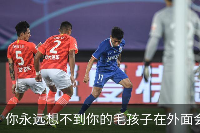 你永远想不到你的毛孩子在外面会被叫什么！网友：坚果被叫建国…