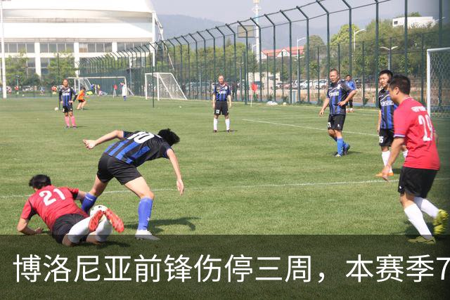 博洛尼亚前锋伤停三周，本赛季7场联赛仅进1球