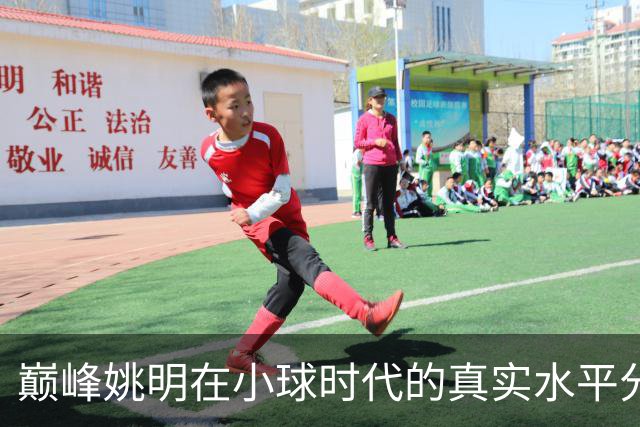 巅峰姚明在小球时代的真实水平分析