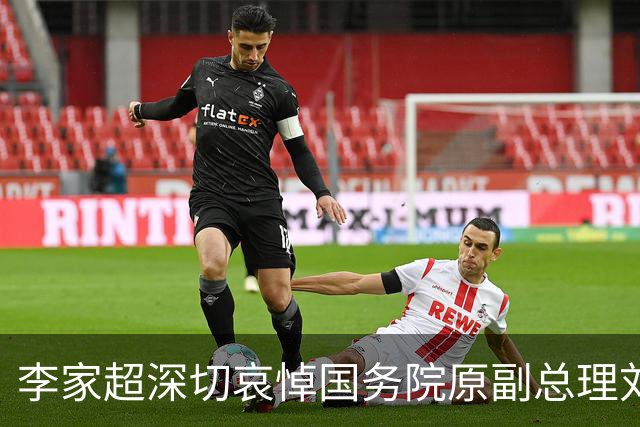 李家超深切哀悼国务院原副总理刘延东逝世
