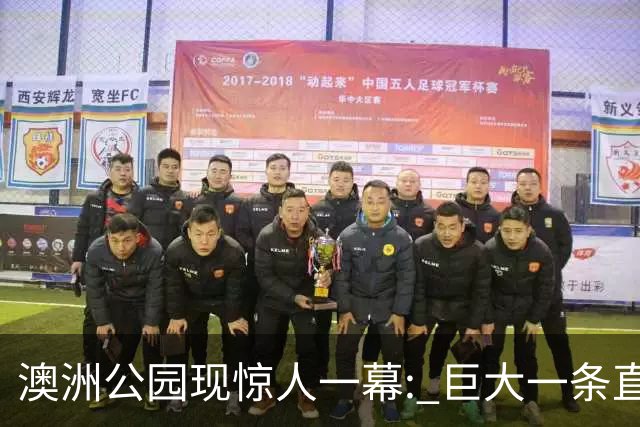 澳洲公园现惊人一幕: 巨大一条直接背走, 视频全网疯传! 官方发声