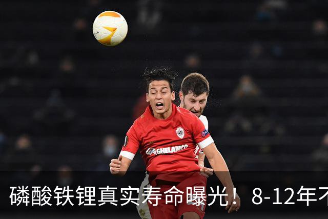 磷酸铁锂真实寿命曝光！8-12年不是标配，全看你怎么造
