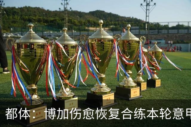 都体：博加伤愈恢复合练本轮意甲有望复出，埃卡托仍需10天康复