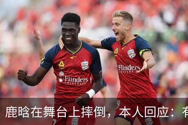 鹿晗在舞台上摔倒，本人回应：有个缝没看到，不小心滑了一下，我的问题